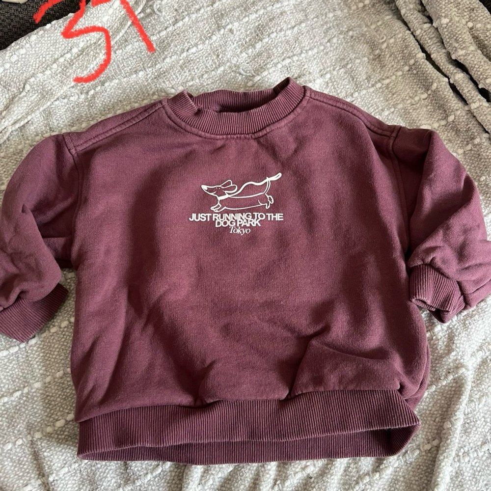 Zara Maroon Kids Sweatshirt